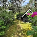 Holiday home 891-snedsted-grahavrevej-21 *