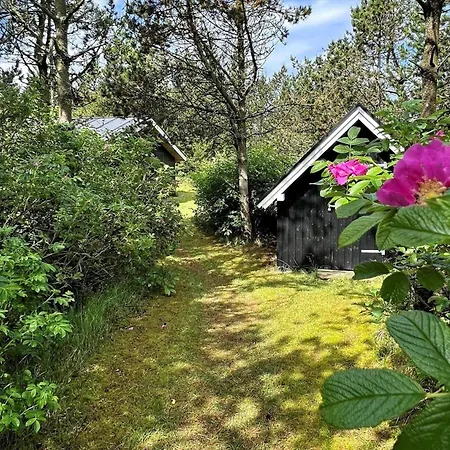 891-snedsted-grahavrevej-21 Holiday home